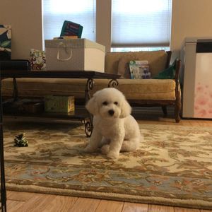 Meet your Posher, Jueun